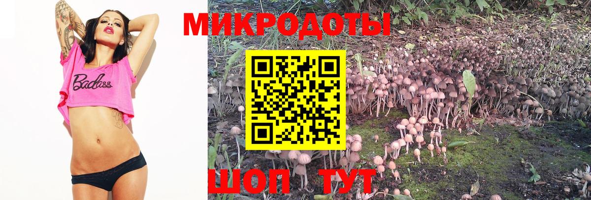 Удомля  Псилоцибиновые грибы Psilocybine cubensis  Вход с VPN 